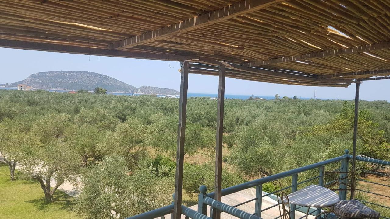 Megalos Kampos Marathopoli